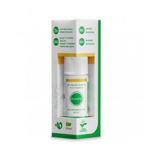 ECOCERA TAPIOCA Y BAMBU CHAMPU SECO CABELLO GRASO 15GR