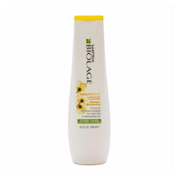 MATRIX BIOLAGE SMOOTHPROOF FRIZZY HAIR CHAMPU 250ML